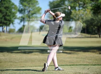 Thumbnail 2 in JV: Greenville Wright Park Invitational photogallery.
