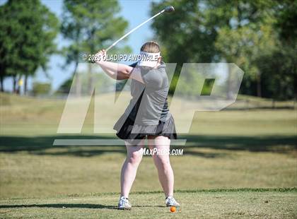 Thumbnail 2 in JV: Greenville Wright Park Invitational photogallery.