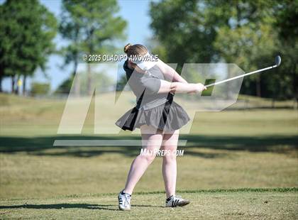 Thumbnail 1 in JV: Greenville Wright Park Invitational photogallery.