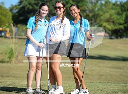 Thumbnail 1 in JV: Greenville Wright Park Invitational photogallery.