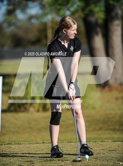 Thumbnail 2 in JV: Greenville Wright Park Invitational photogallery.