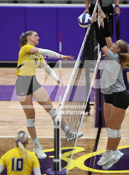 Thumbnail 1 in Springtown @ Godley photogallery.