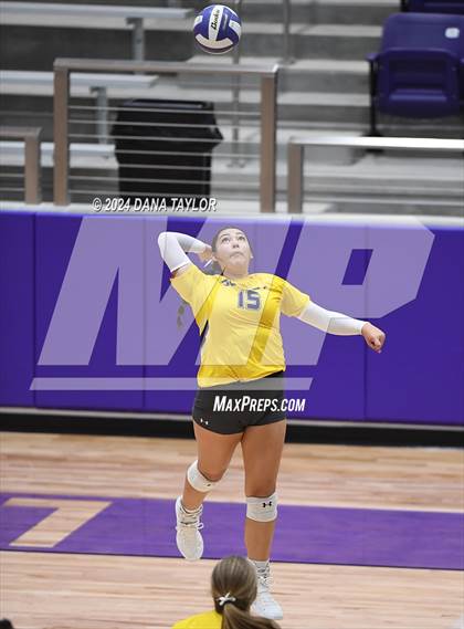 Thumbnail 3 in Springtown @ Godley photogallery.