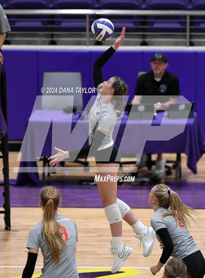 Thumbnail 3 in Springtown @ Godley photogallery.