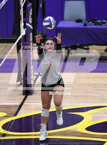 Thumbnail 2 in Springtown @ Godley photogallery.