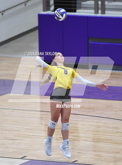 Thumbnail 1 in Springtown @ Godley photogallery.