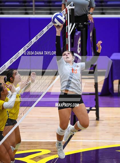 Thumbnail 3 in Springtown @ Godley photogallery.