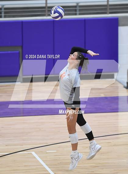 Thumbnail 1 in Springtown @ Godley photogallery.