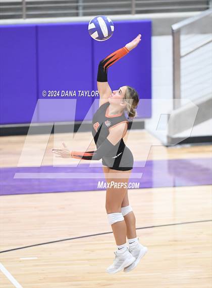 Thumbnail 2 in Springtown @ Godley photogallery.