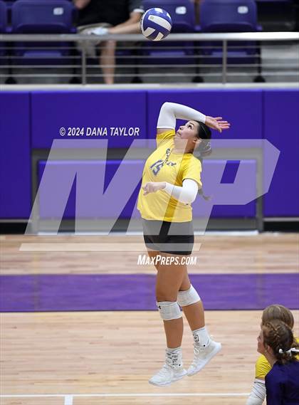 Thumbnail 1 in Springtown @ Godley photogallery.