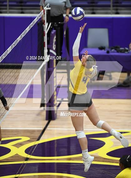 Thumbnail 2 in Springtown @ Godley photogallery.