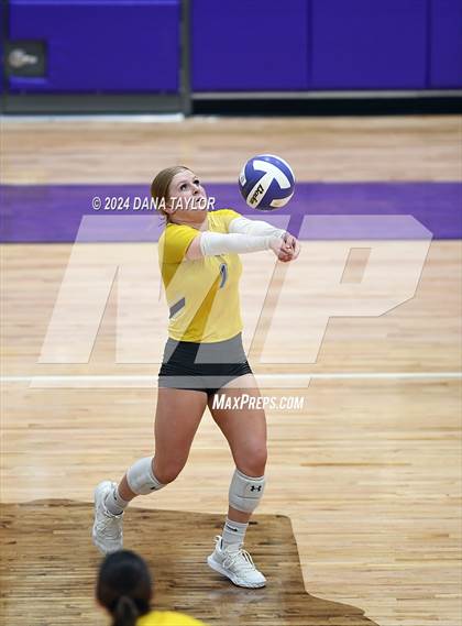 Thumbnail 2 in Springtown @ Godley photogallery.