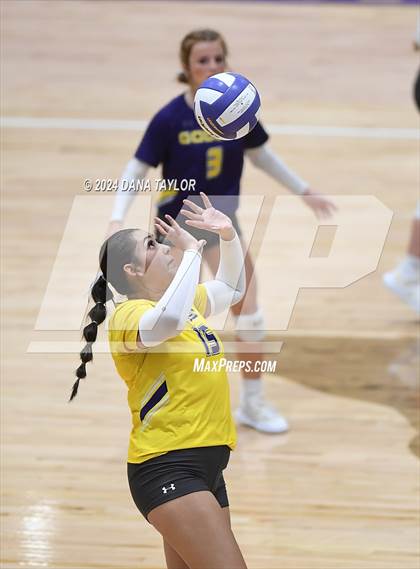 Thumbnail 2 in Springtown @ Godley photogallery.