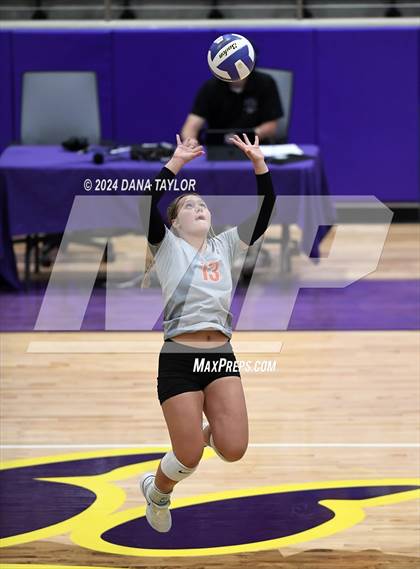Thumbnail 1 in Springtown @ Godley photogallery.