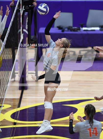 Thumbnail 3 in Springtown @ Godley photogallery.