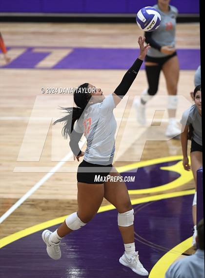 Thumbnail 1 in Springtown @ Godley photogallery.