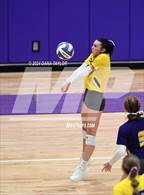 Photo from the gallery "Springtown @ Godley"