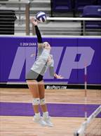 Photo from the gallery "Springtown @ Godley"