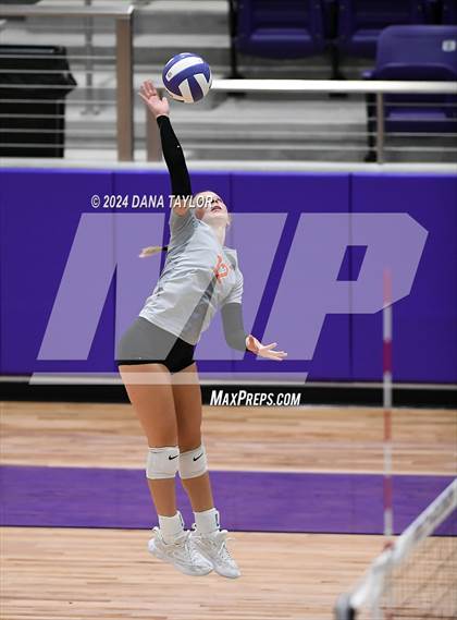 Thumbnail 1 in Springtown @ Godley photogallery.