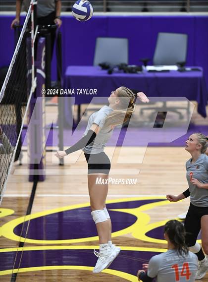 Thumbnail 2 in Springtown @ Godley photogallery.