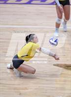 Photo from the gallery "Springtown @ Godley"