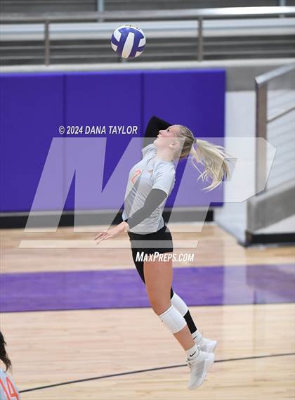 Thumbnail 1 in Springtown @ Godley photogallery.
