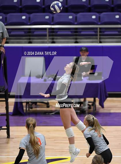 Thumbnail 2 in Springtown @ Godley photogallery.
