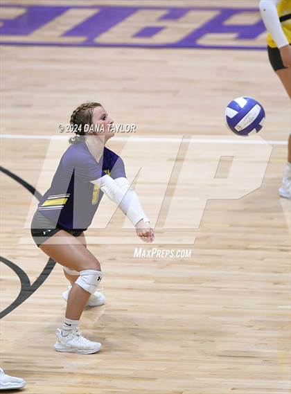 Thumbnail 3 in Springtown @ Godley photogallery.