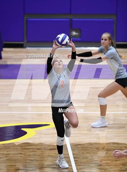 Thumbnail 1 in Springtown @ Godley photogallery.