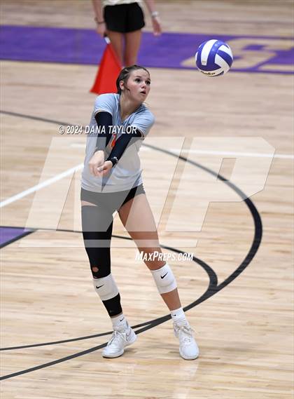 Thumbnail 1 in Springtown @ Godley photogallery.