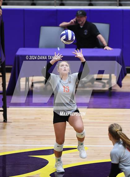 Thumbnail 2 in Springtown @ Godley photogallery.