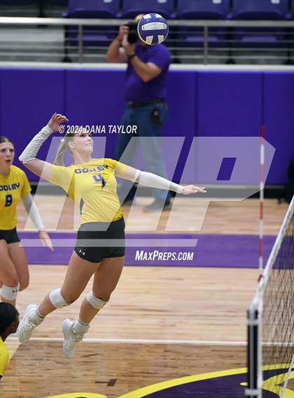Thumbnail 2 in Springtown @ Godley photogallery.