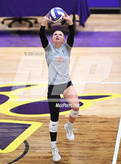 Thumbnail 1 in Springtown @ Godley photogallery.
