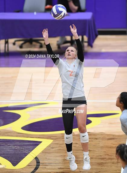 Thumbnail 2 in Springtown @ Godley photogallery.