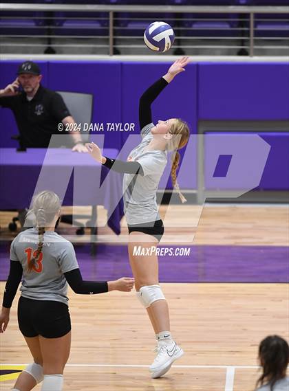 Thumbnail 1 in Springtown @ Godley photogallery.