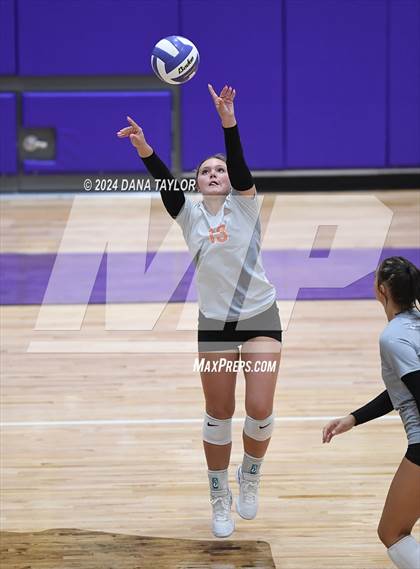 Thumbnail 2 in Springtown @ Godley photogallery.