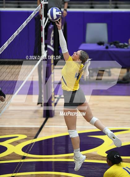 Thumbnail 3 in Springtown @ Godley photogallery.