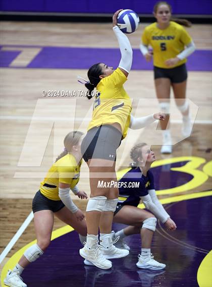 Thumbnail 2 in Springtown @ Godley photogallery.