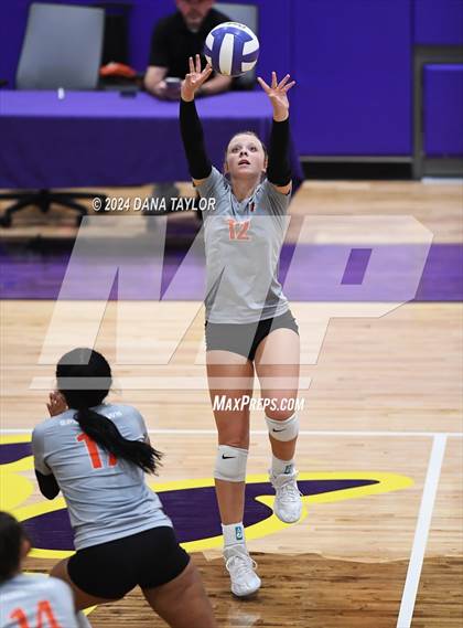 Thumbnail 2 in Springtown @ Godley photogallery.
