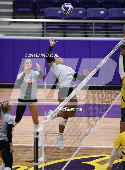 Thumbnail 1 in Springtown @ Godley photogallery.