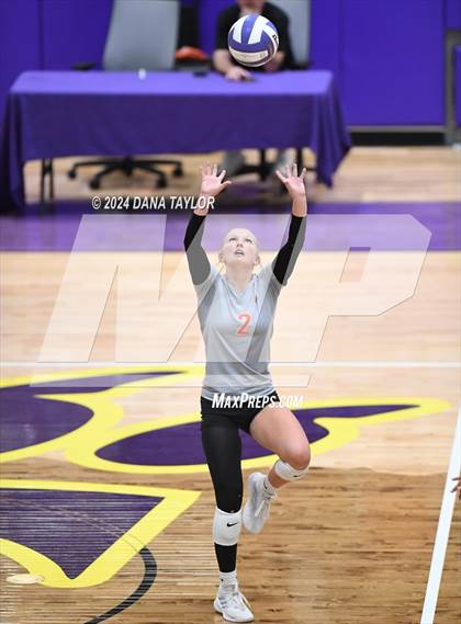 Thumbnail 3 in Springtown @ Godley photogallery.