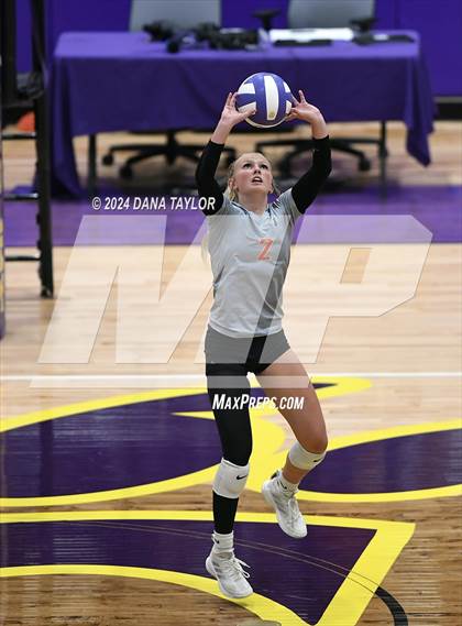 Thumbnail 2 in Springtown @ Godley photogallery.