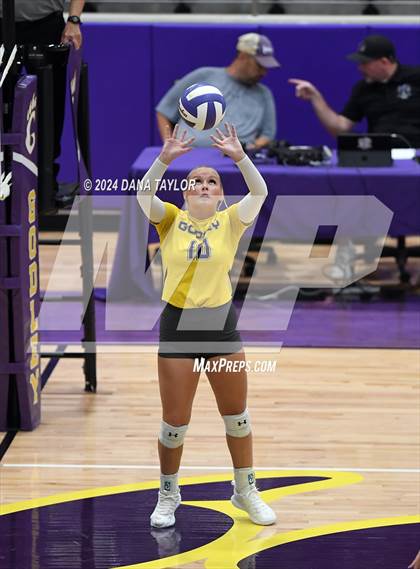 Thumbnail 1 in Springtown @ Godley photogallery.