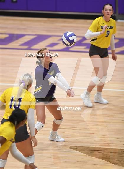 Thumbnail 1 in Springtown @ Godley photogallery.