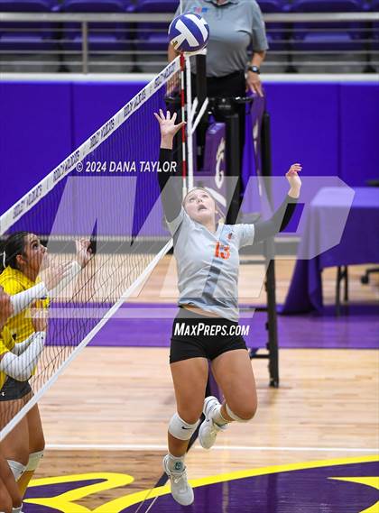 Thumbnail 2 in Springtown @ Godley photogallery.