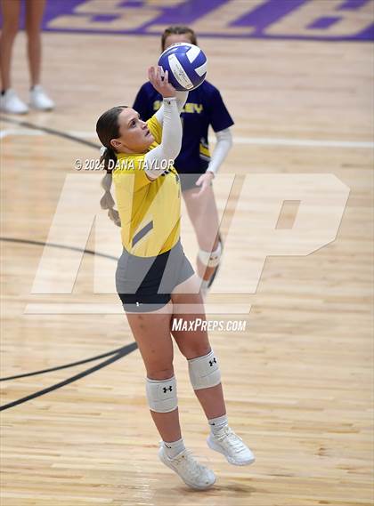 Thumbnail 3 in Springtown @ Godley photogallery.