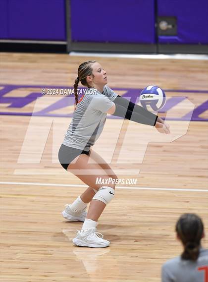 Thumbnail 1 in Springtown @ Godley photogallery.