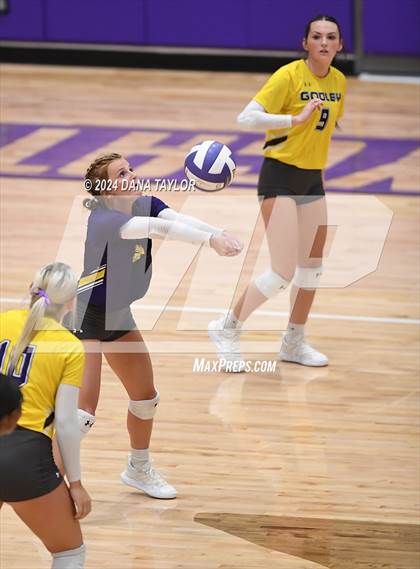 Thumbnail 2 in Springtown @ Godley photogallery.