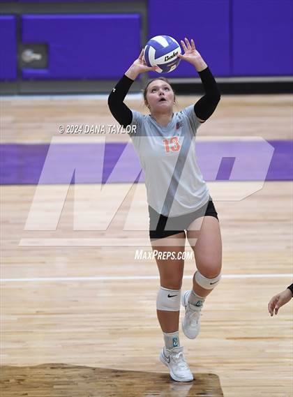 Thumbnail 1 in Springtown @ Godley photogallery.