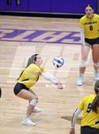Photo from the gallery "Springtown @ Godley"